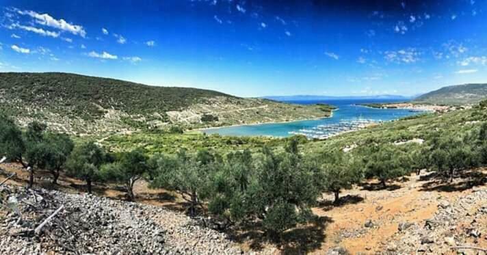 Apartment Leni Cres Dış mekan fotoğraf